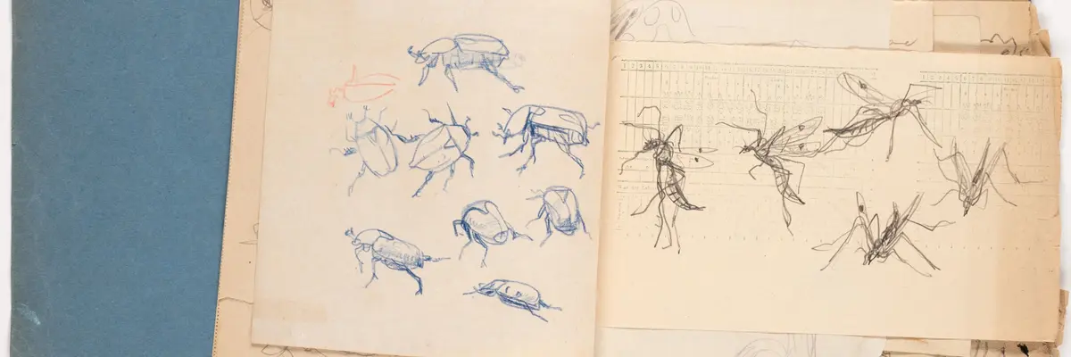 aufgeschlagenes Heft mit Zeichnungen