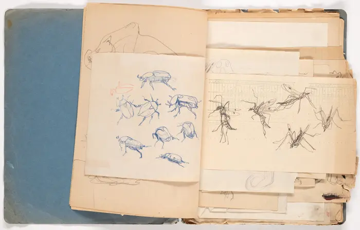 aufgeschlagenes Heft mit Zeichnungen