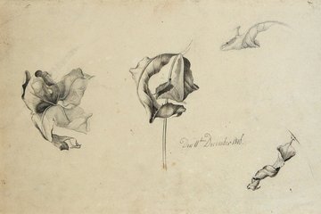 Friedrich Olivier (1791-1859), „Welke Blätter“, 1816