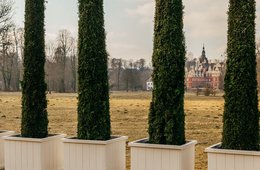 Maria Loboda, This Work is Dedicated to an Emperor, 2012 Ansicht von Thuja-Gewächsen im Park vor dem Schloss Bad Muskau
