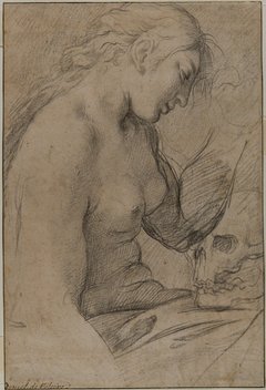 Zeichnung einer Frau (Oberkörper) zur Seite blickend