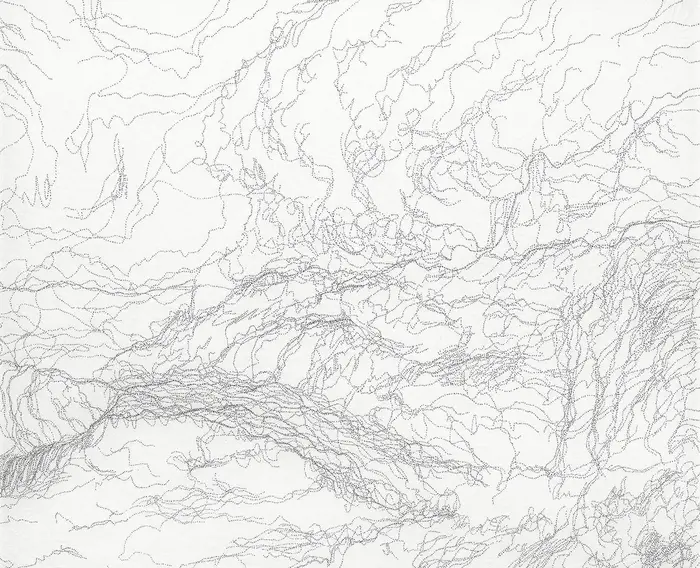 Dichte gewellte Linien bedecken einen weißen Hintergrund.