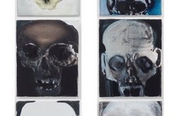 Marlene Dumas, Skulls, 2011-2015 Collage aus verschiedenen, gemalten Totenköpfen