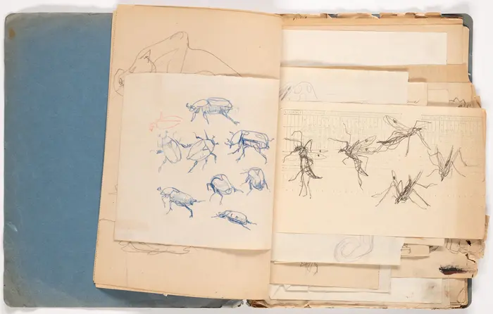 aufgeschlagenes Heft mit Zeichnungen