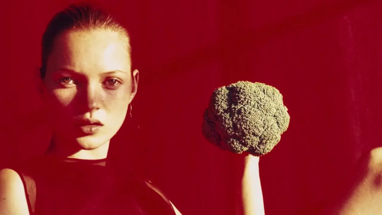 Eine Welt auf Papier: Das Kupferstich-Kabinett Dresden