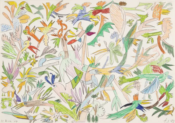 Ein Wimmelbild aus mit Buntstift gezeichneten, bunten Vögeln.