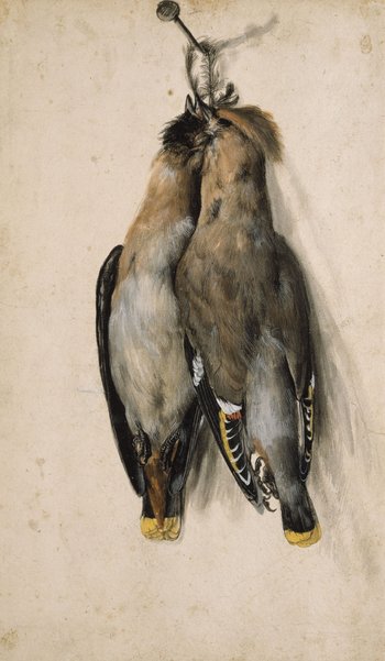 Zwei tote Vögel, am Kopf zusammengebunden, hängen auf einem Nagel