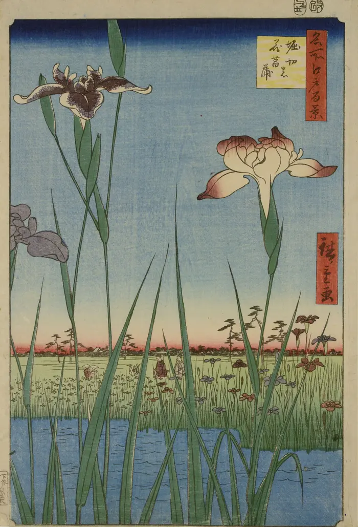 im Vordergrund Blumen, im Hintergrund Wasser und grüne Flächen