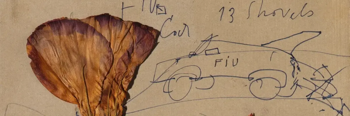 Ein DINA4-Blatt mit groben Skizzen von Autos, darauf liegt eine gepresste Blume.