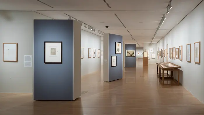 Blick in die Ausstellung