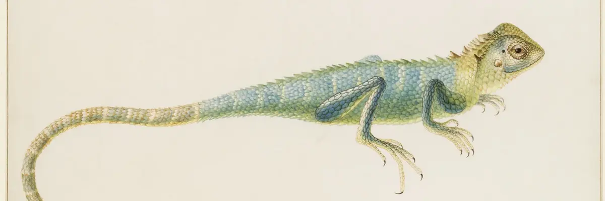 Die farbige Darstellung dreier Reptilien.