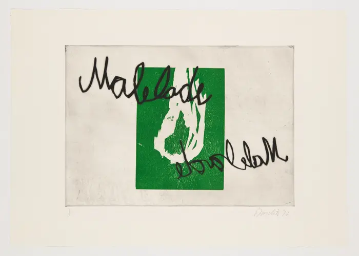 Ein grünes Rechteck mit abstrakten weißen Linien, darüber der Schriftzug "Malelade".