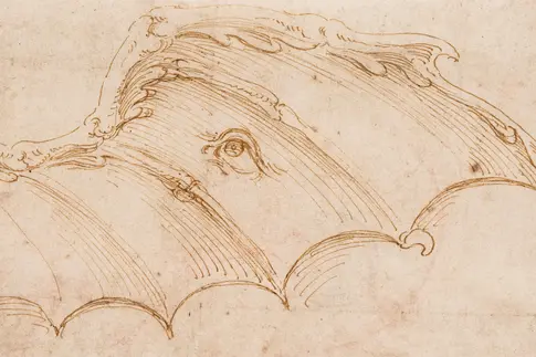 Die Zeichnung eines Flügels mit Krallen und Auge.