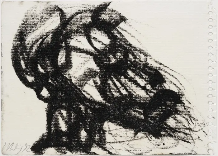 Kohlestriche, die einen Kopf mit wehenden Haaren anmuten